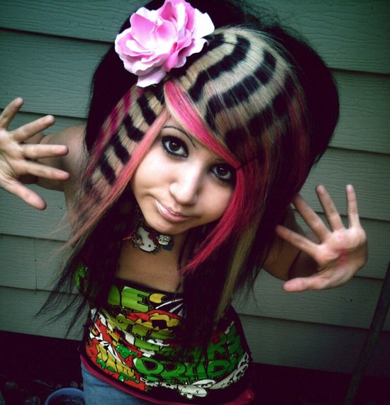 Stylish Emo Girl Hairstyle