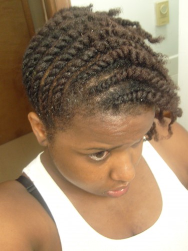  Afro-Braids-Hairstyle